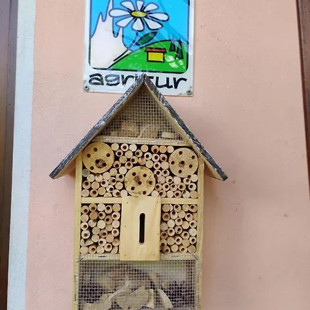 Agritur Leita * Tuenno