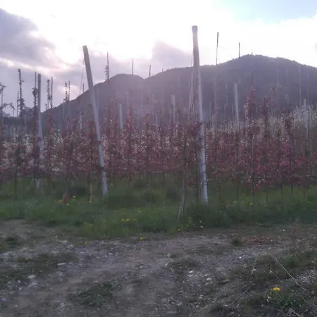 Agritur Leita *